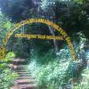 Brahmagiri wildlife sanctuary